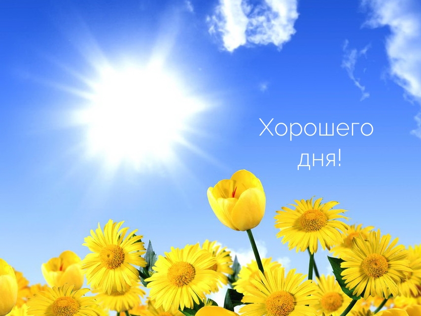 Хорошего дня!