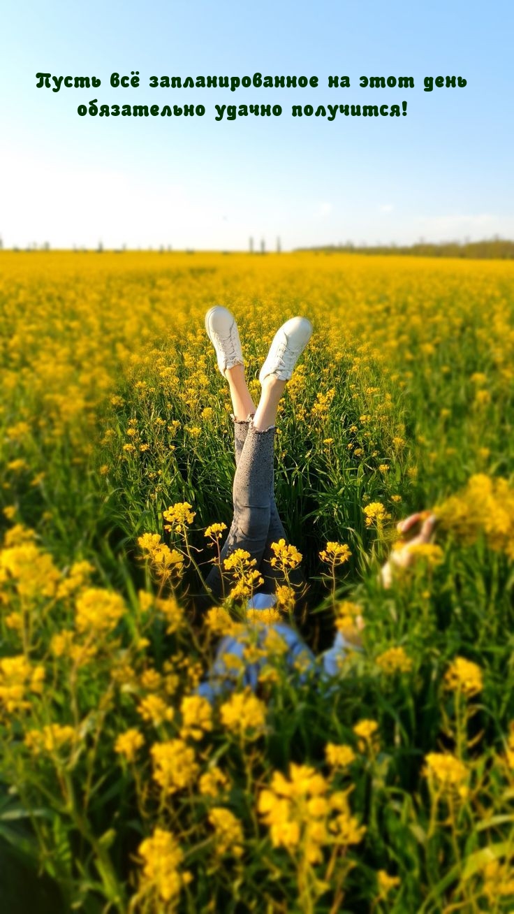 Пусть запланированное на этот день обязательно удачно получится!