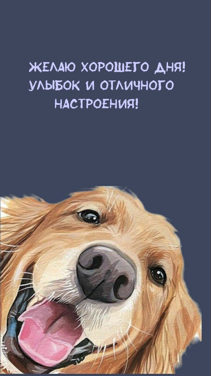 Желаю хорошего дня! Улыбок и отличного настроения!