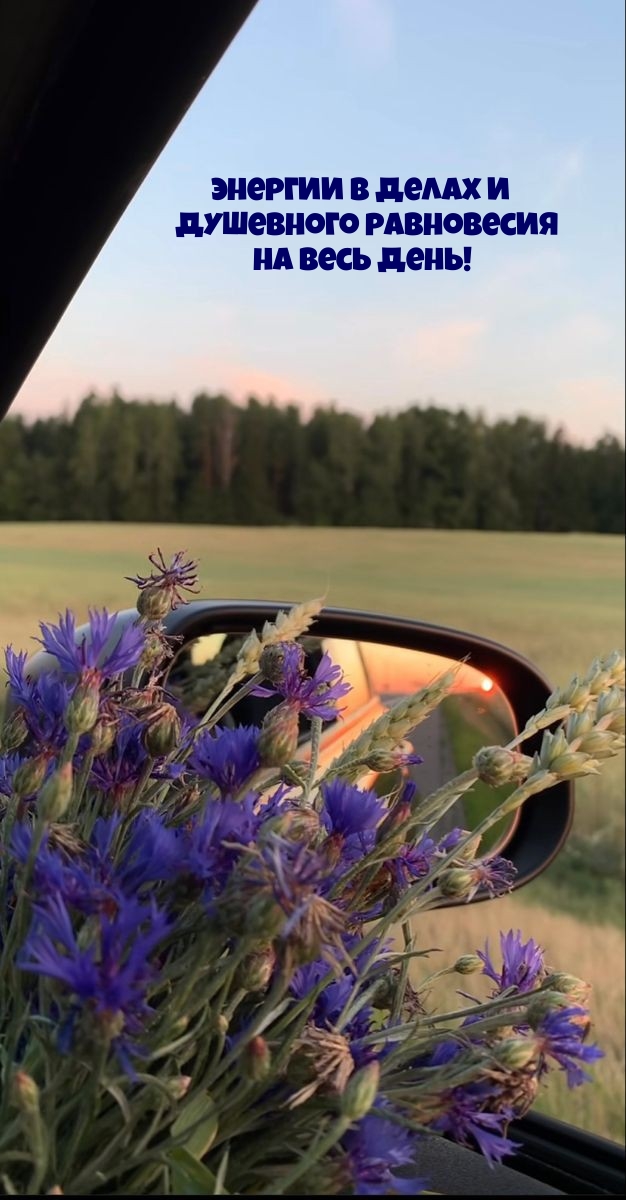 Энергии в делах и душевного равновесия на весь день!