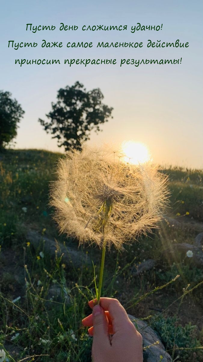 Пусть даже самое маленькое действие приносит прекрасные результаты!