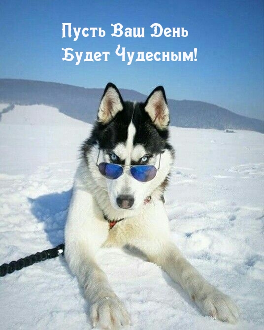 Пусть Ваш День Будет Чудесным!