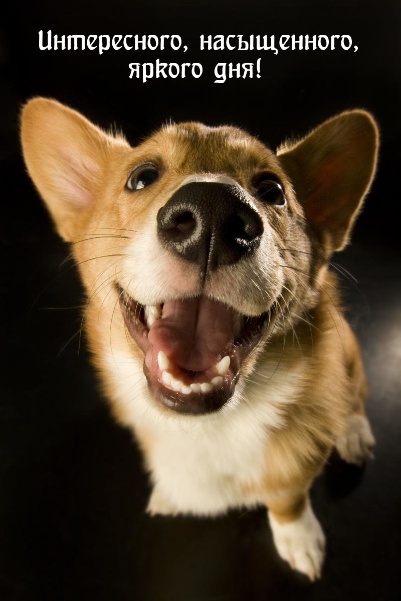 Интересного, насыщенного, яркого дня! 