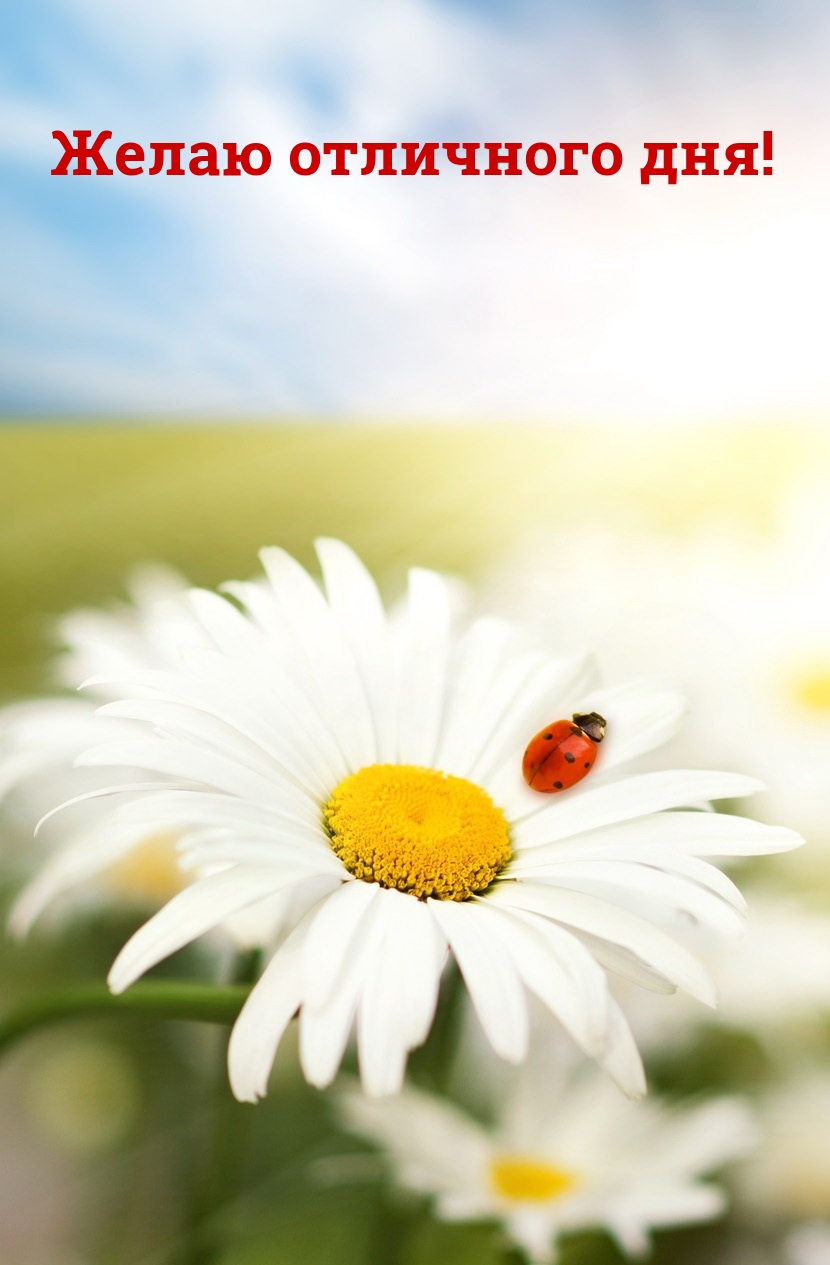 Желаю отличного дня!