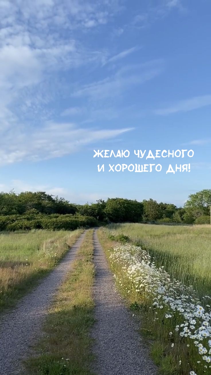 Желаю чудесного и хорошего дня!