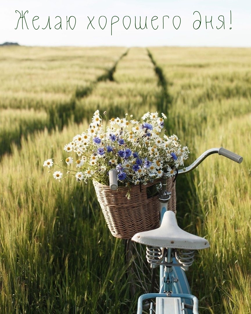 Желаю хорошего дня!