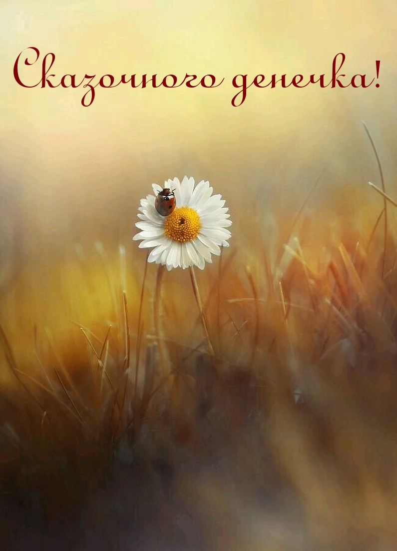 Сказочного денечка!