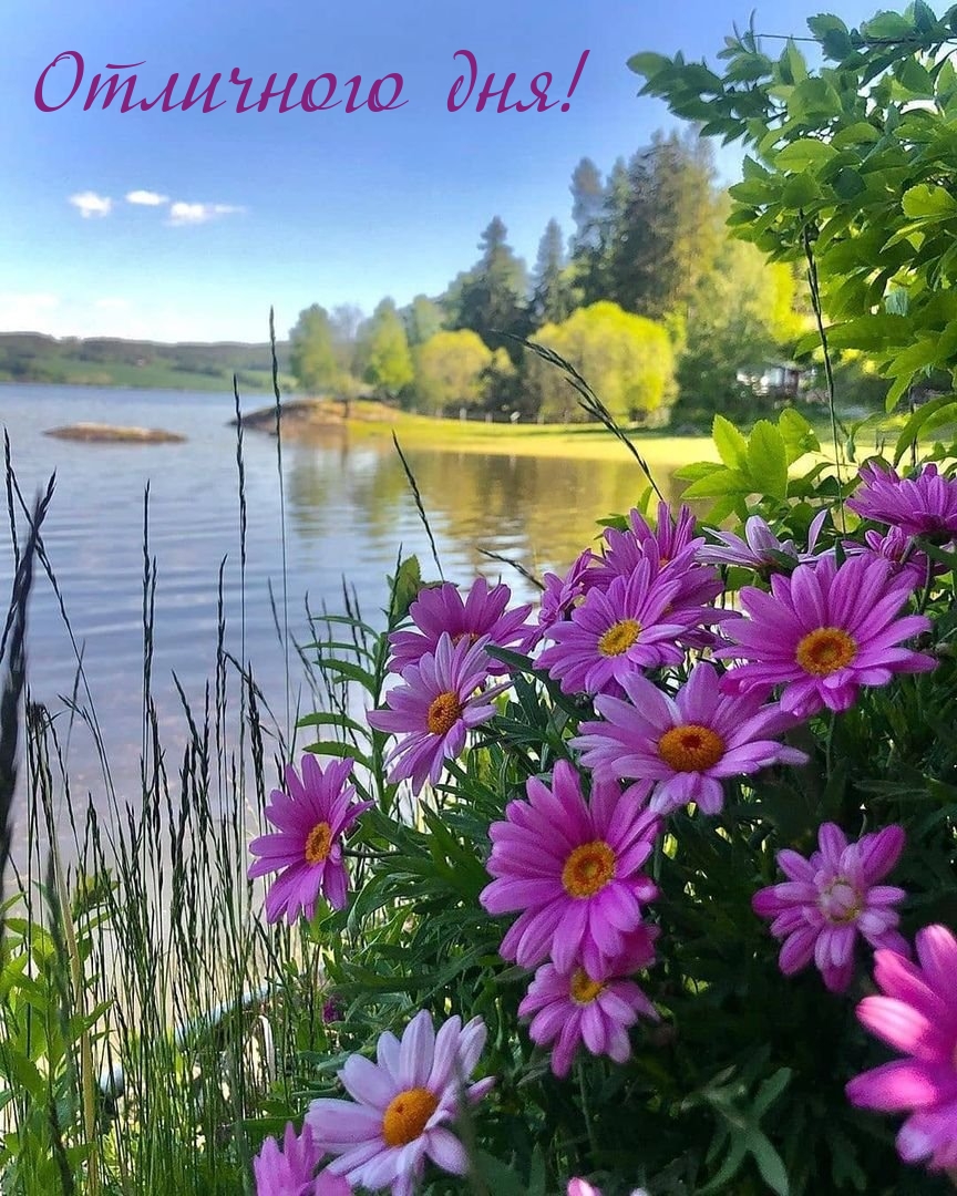 Отличного дня!