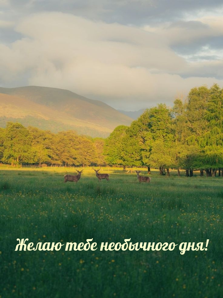 Желаю тебе необычного дня!
