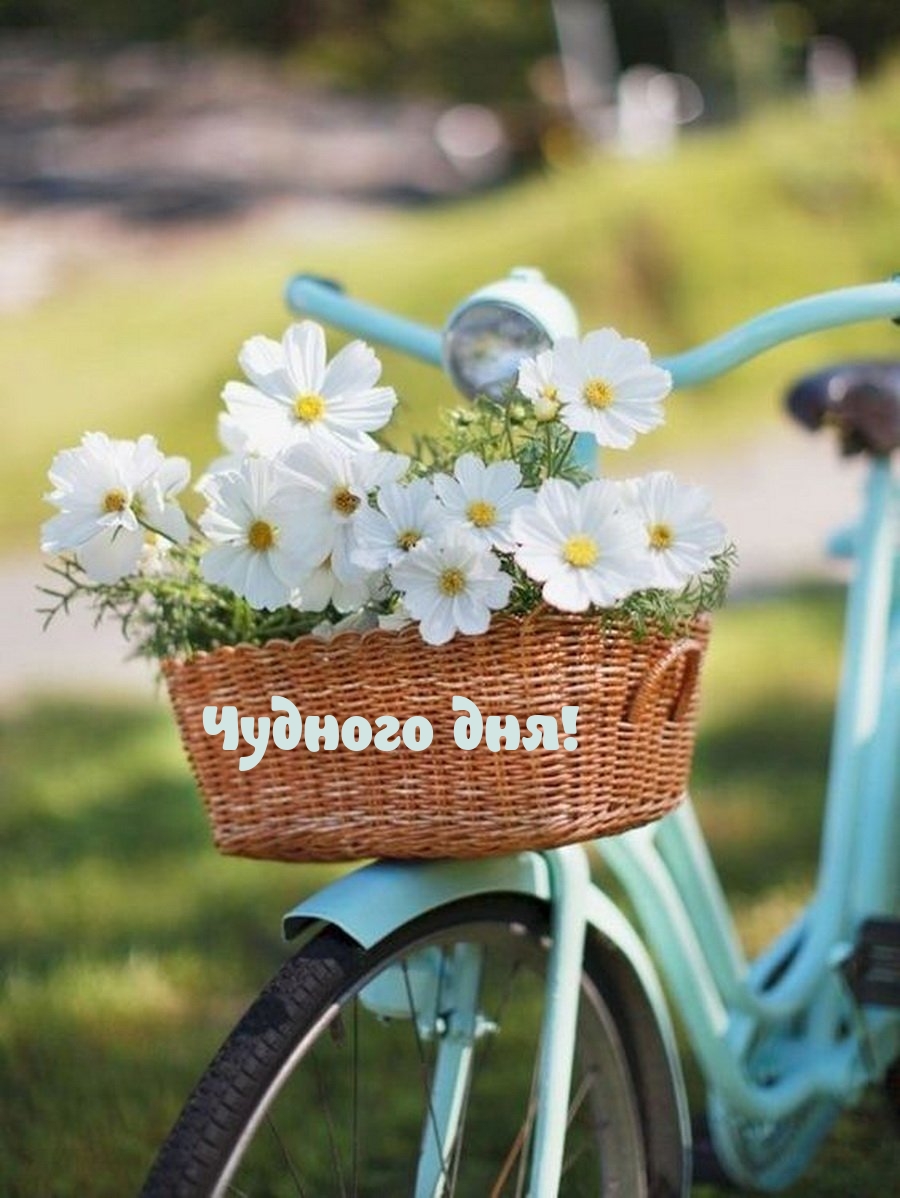 Чудного дня!