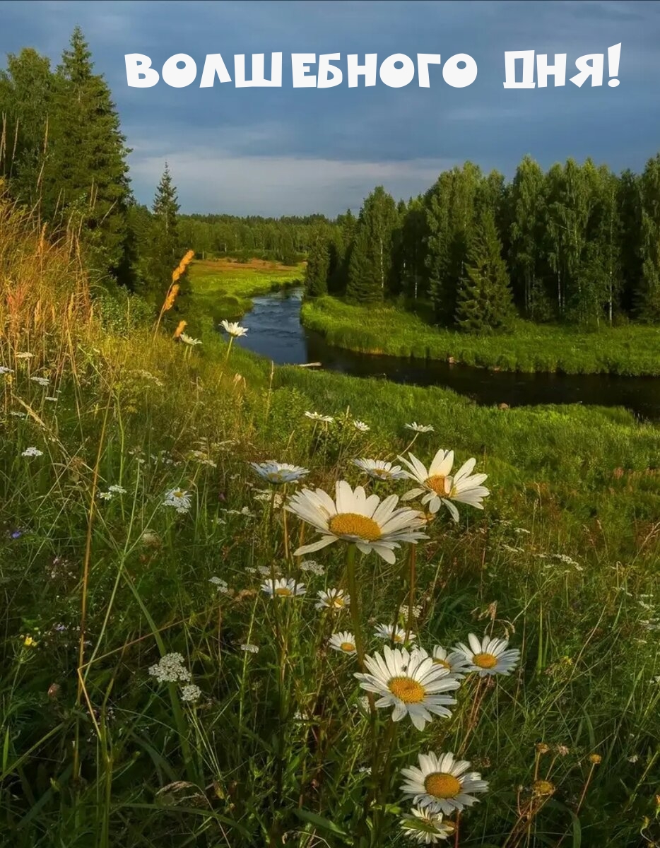 Волшебного дня!