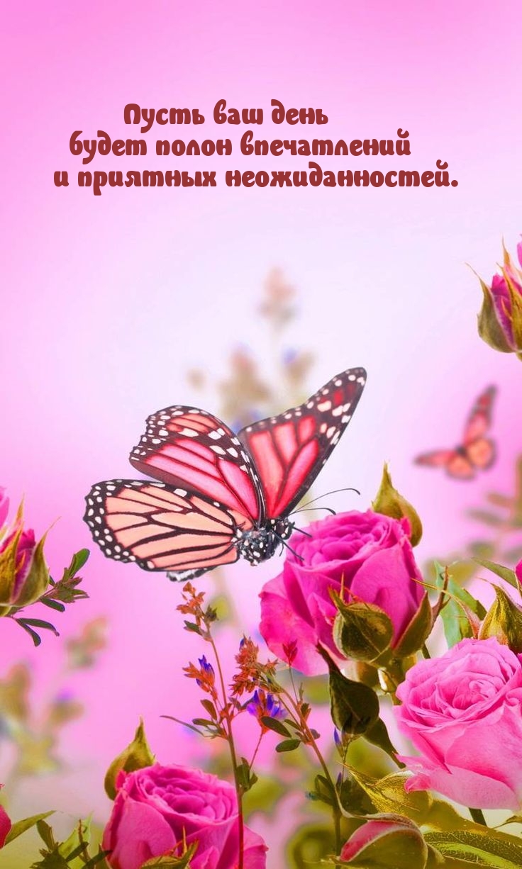 Пусть ваш день будет полон впечатлений и приятных неожиданностей. 