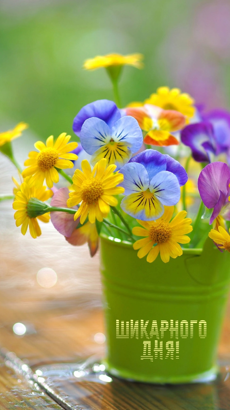 Шикарного дня!