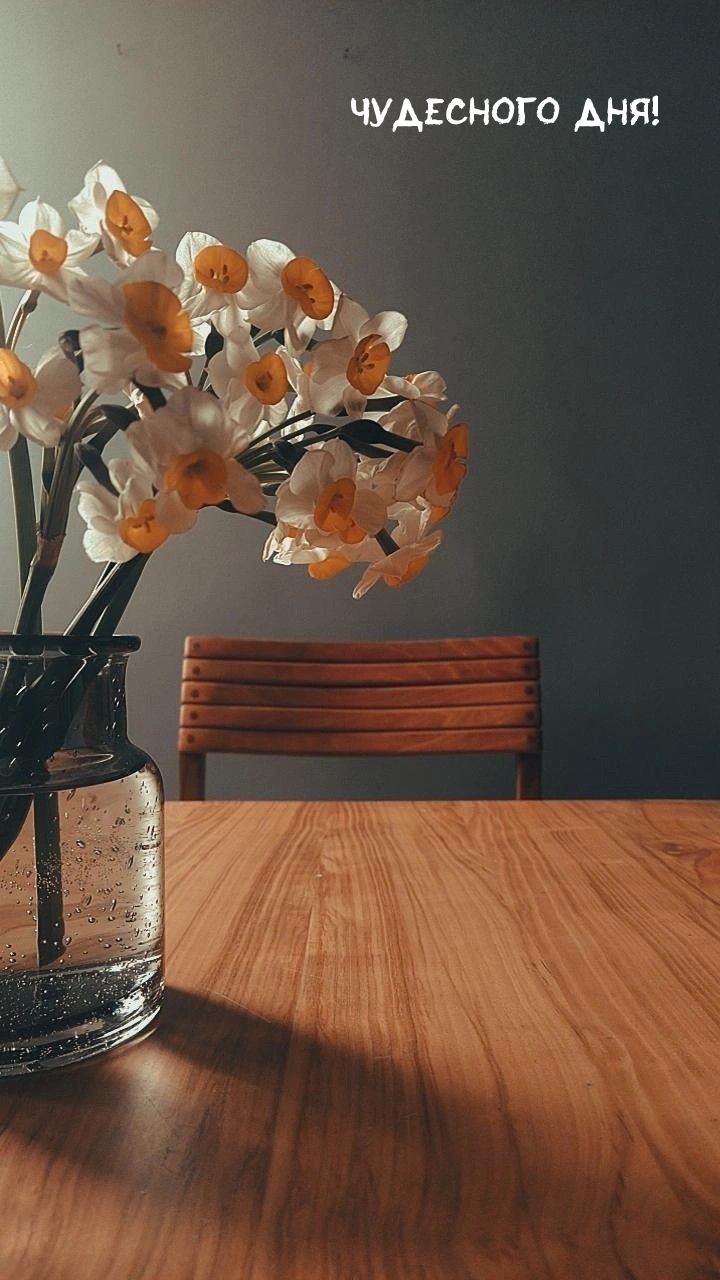 Чудесного дня!