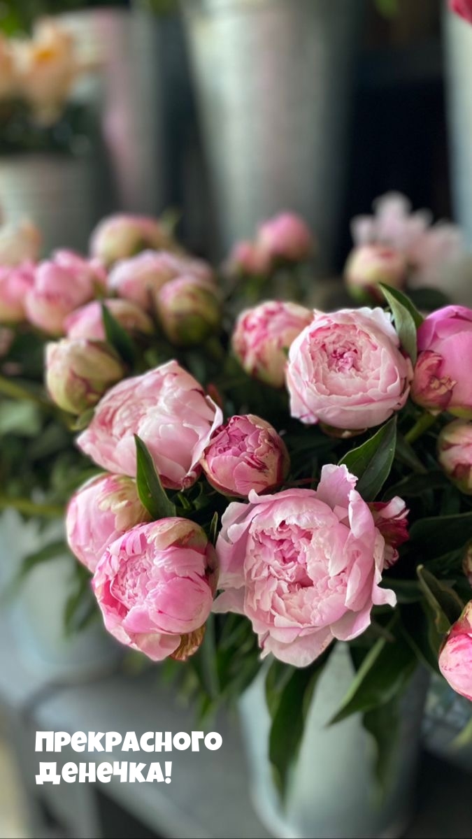 Прекрасного денечка!