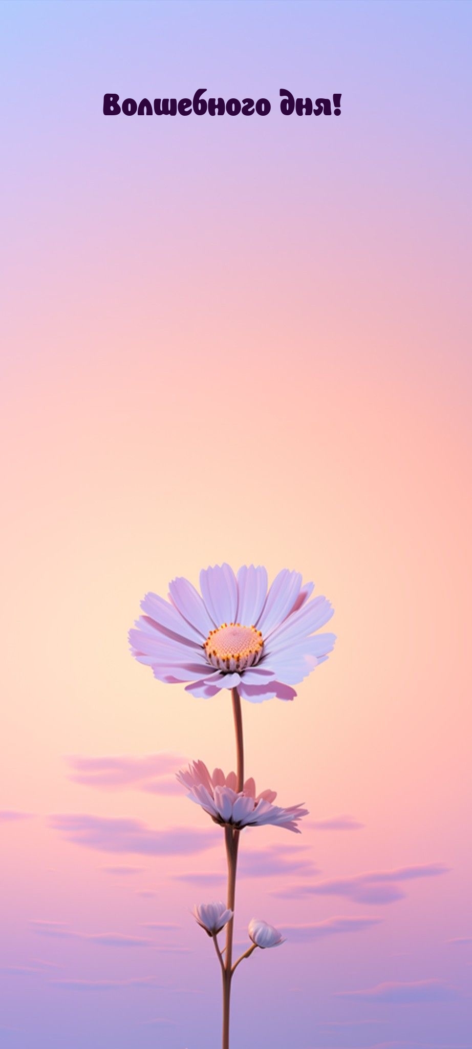 Волшебного дня!