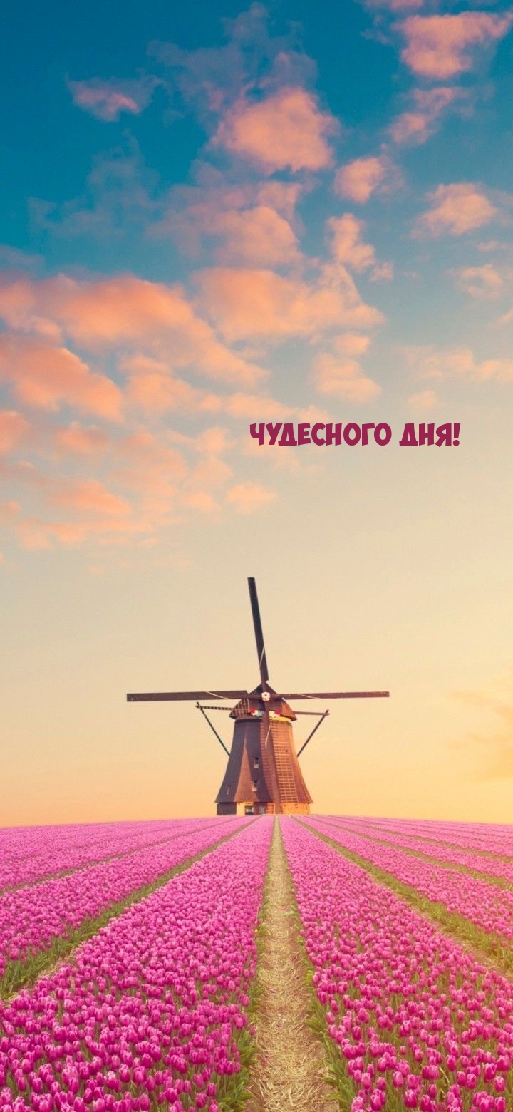 Чудесного дня!