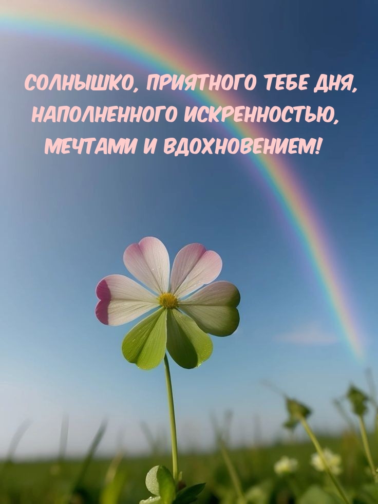 Солнышко, приятного тебе дня, наполненного искренностью
