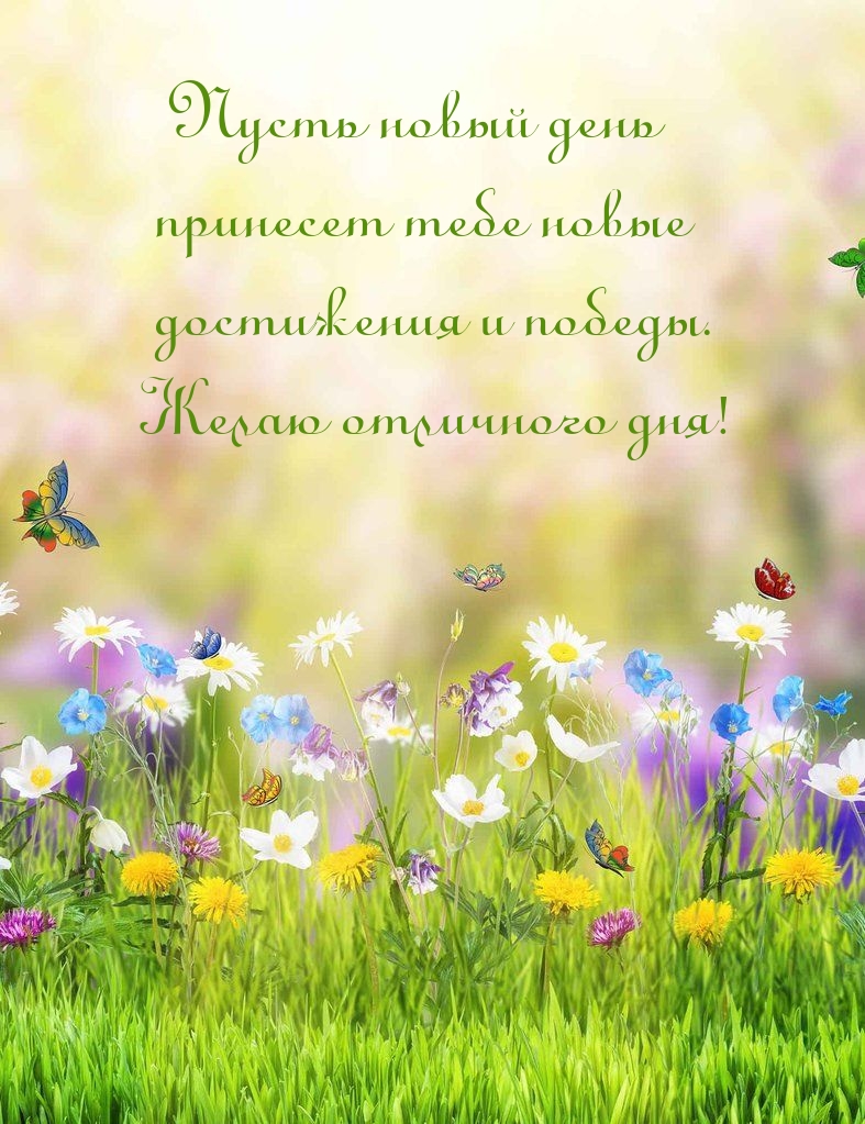 Пусть новый день принесет тебе новые достижения и победы. 