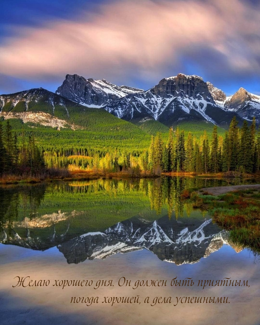 Желаю хорошего дня. Он должен быть приятным
