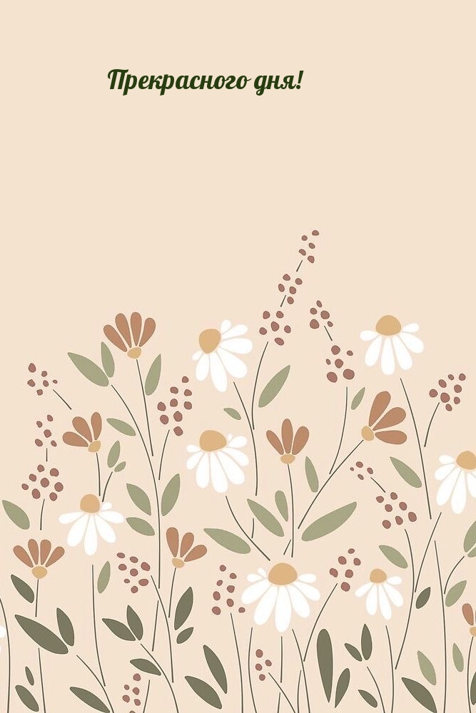 Прекрасного дня!