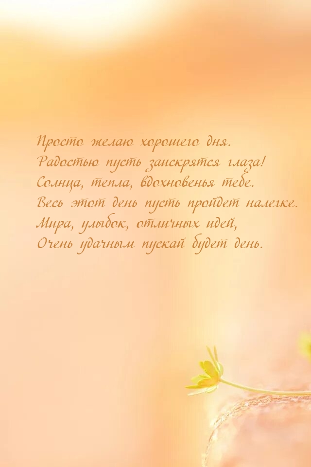 Просто желаю хорошего дня. Радостью пусть заискрятся глаза!
