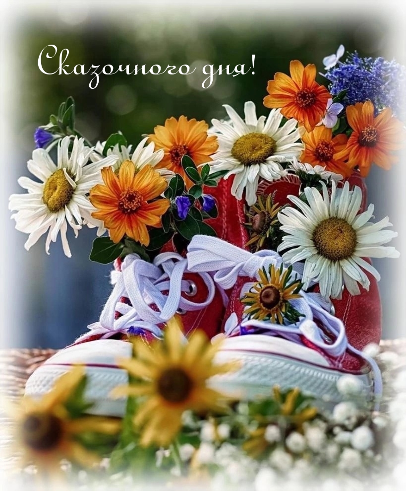 Сказочного дня!