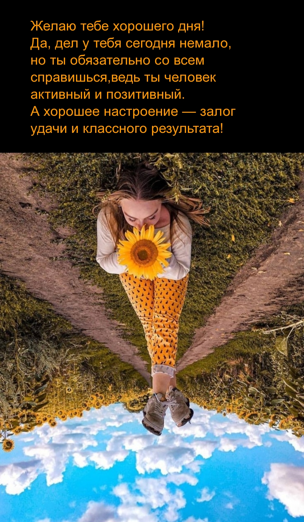 Желаю тебе хорошего дня! Да, дел у тебя сегодня немало