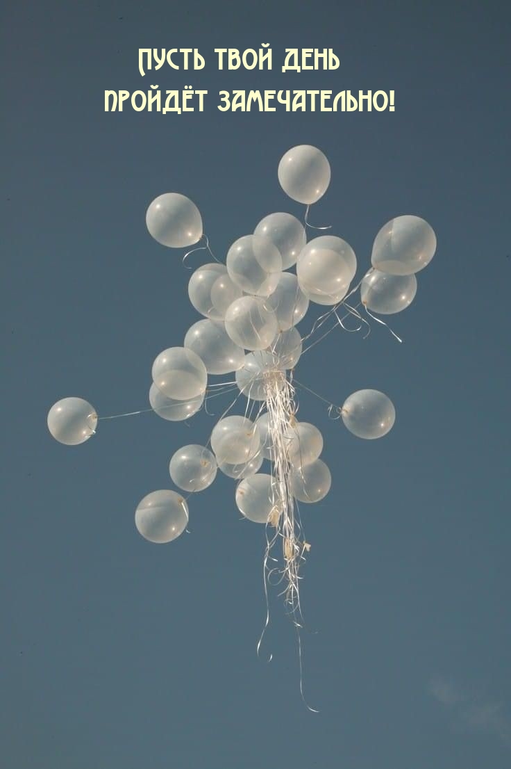Пусть твой день пройдёт замечательно!