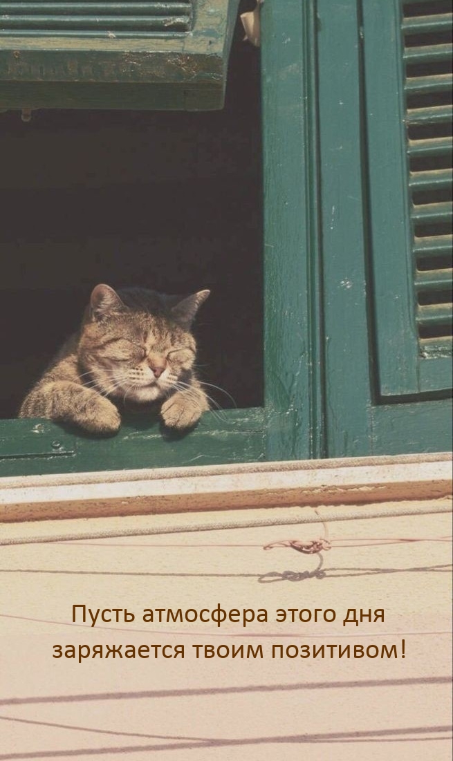 Пусть атмосфера этого дня заряжается твоим позитивом!