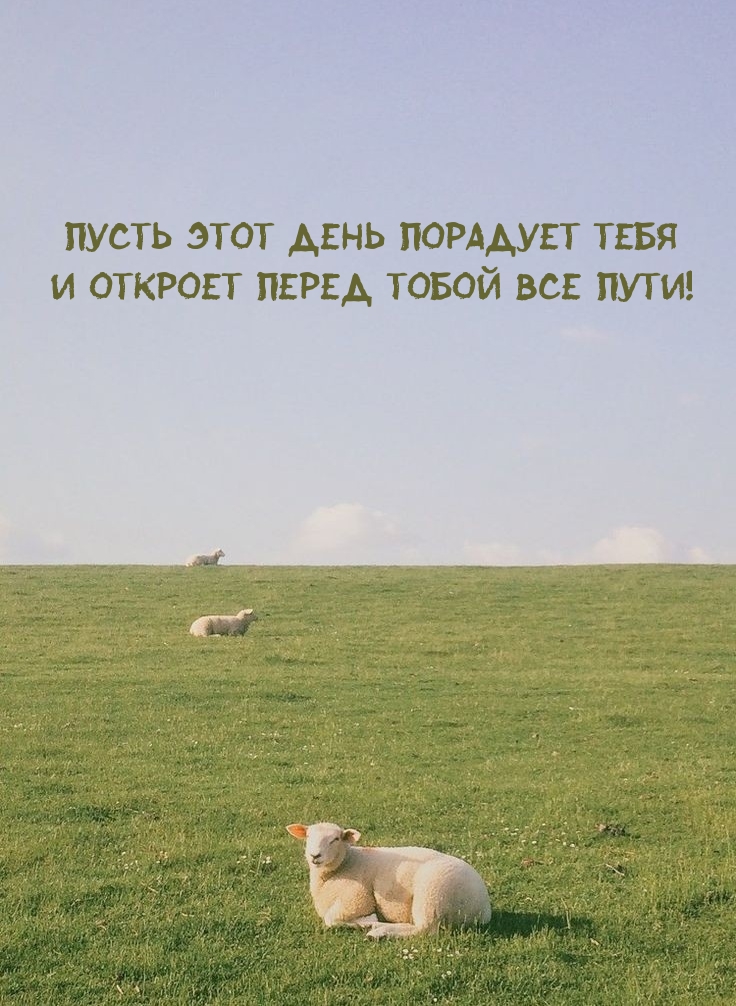 Пусть этот день порадует тебя и откроет перед тобой все пути! 