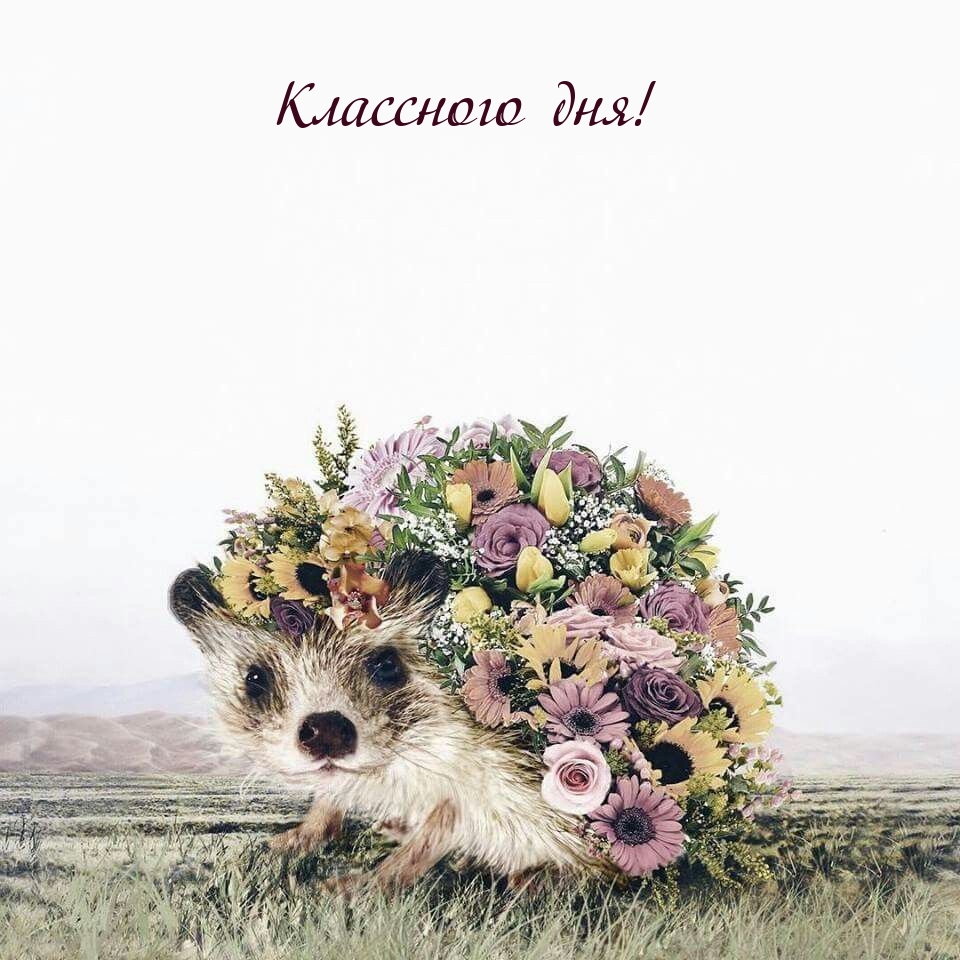 Классного дня!