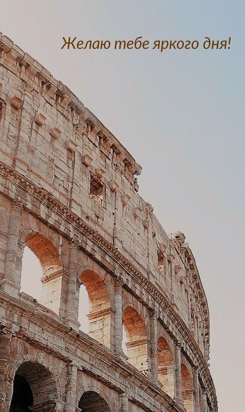 Желаю тебе яркого дня!