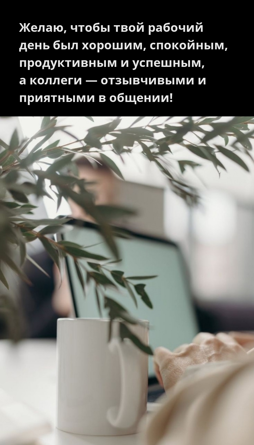 Желаю, чтобы твой рабочий день был хорошим, спокойным