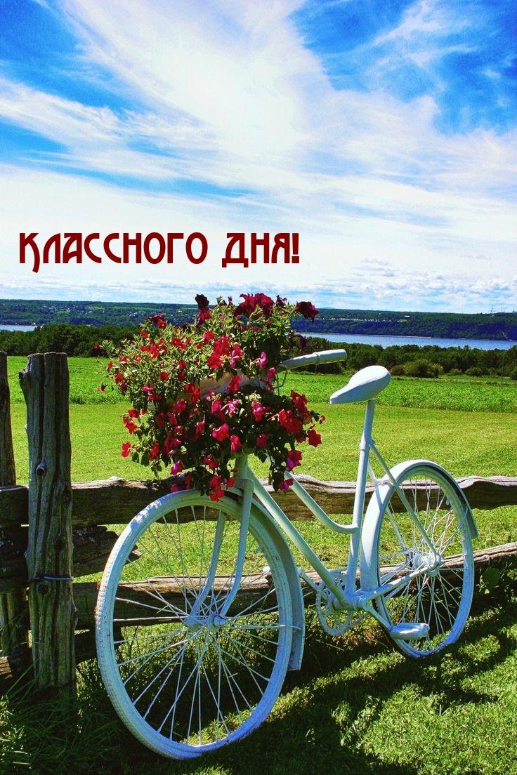 Классного дня!