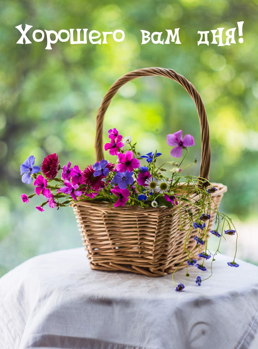 Хорошего вам дня!