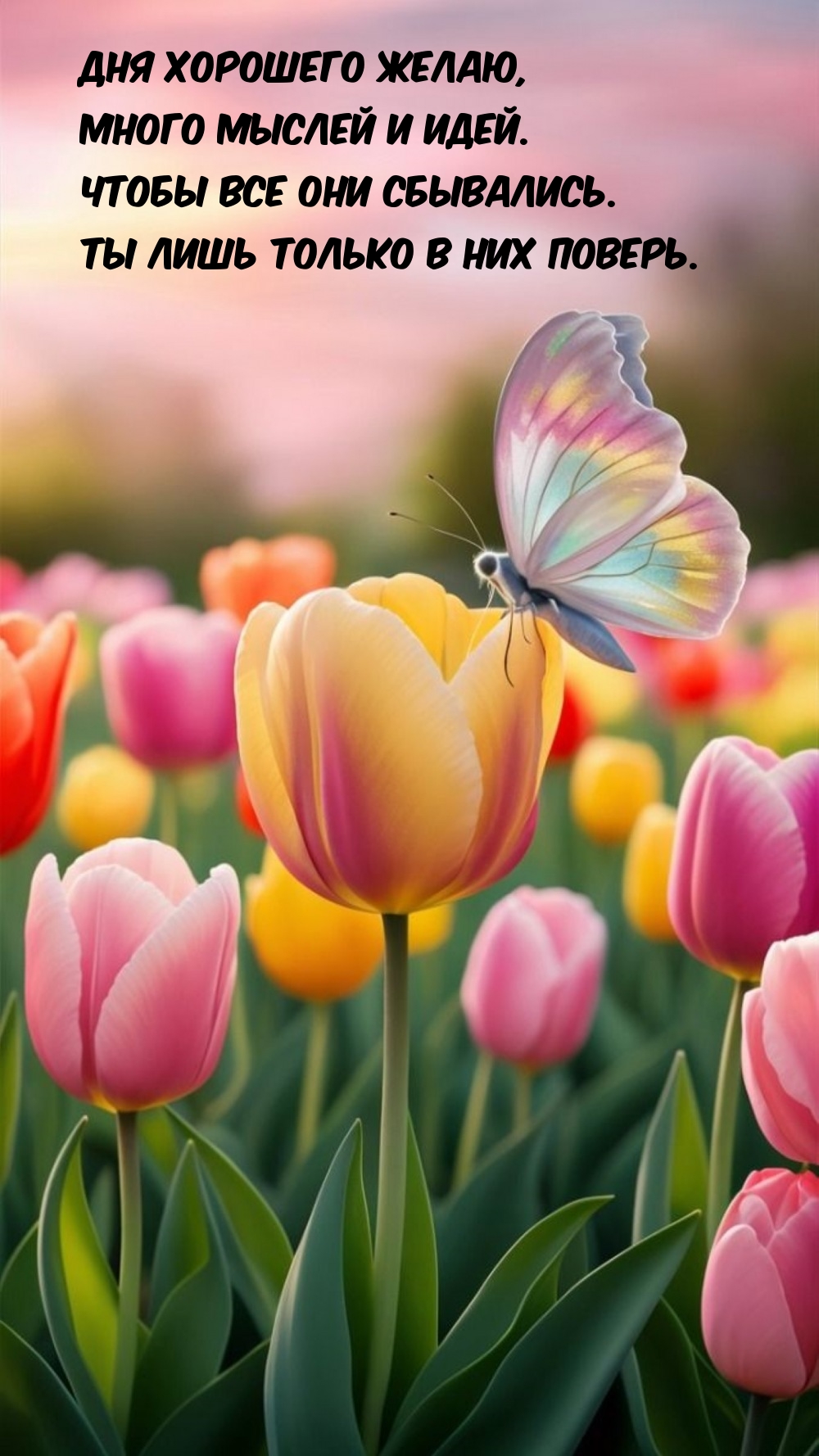 Дня хорошего желаю, много мыслей и идей. Чтобы все они сбывались.