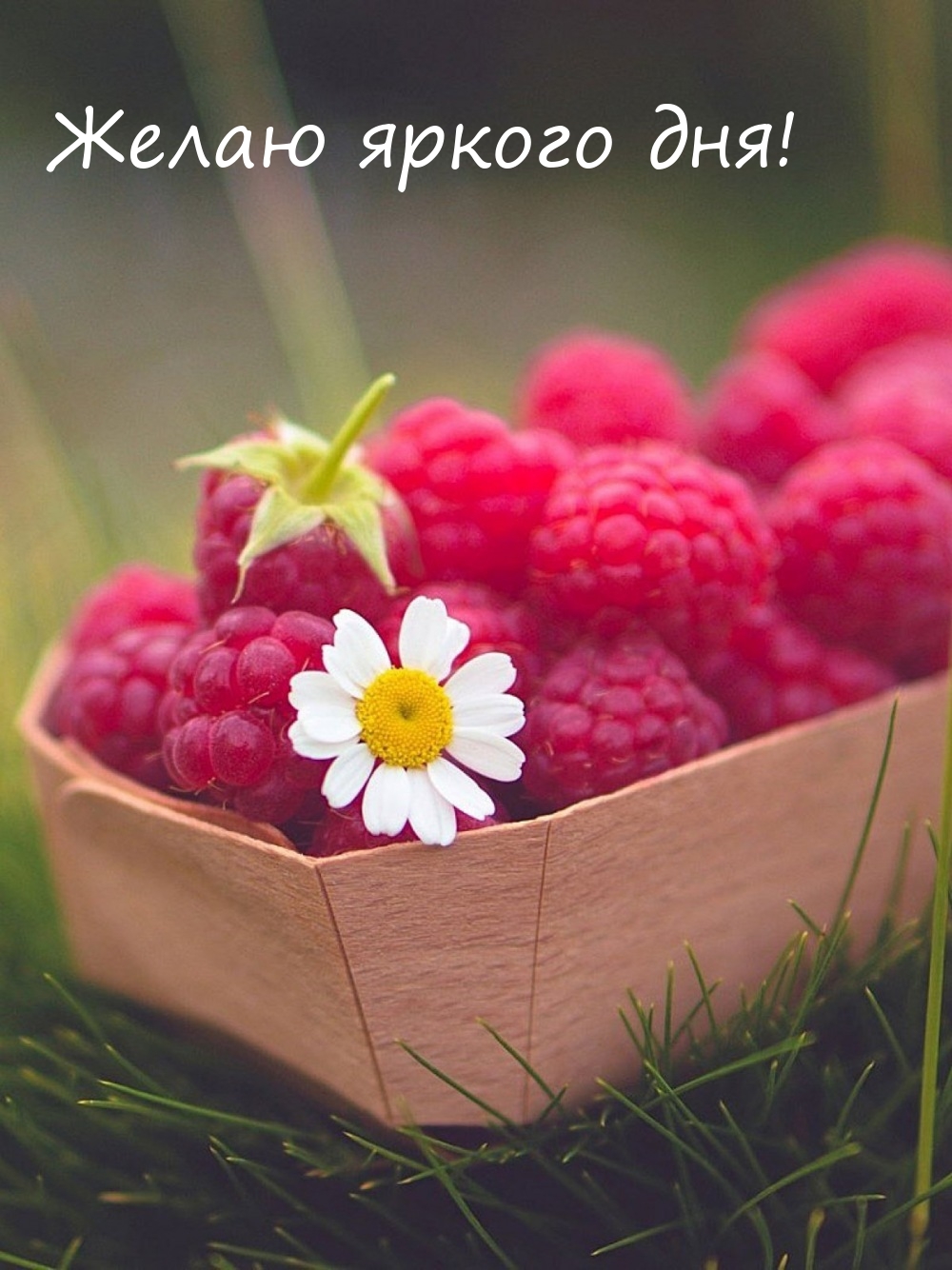 Желаю яркого дня!