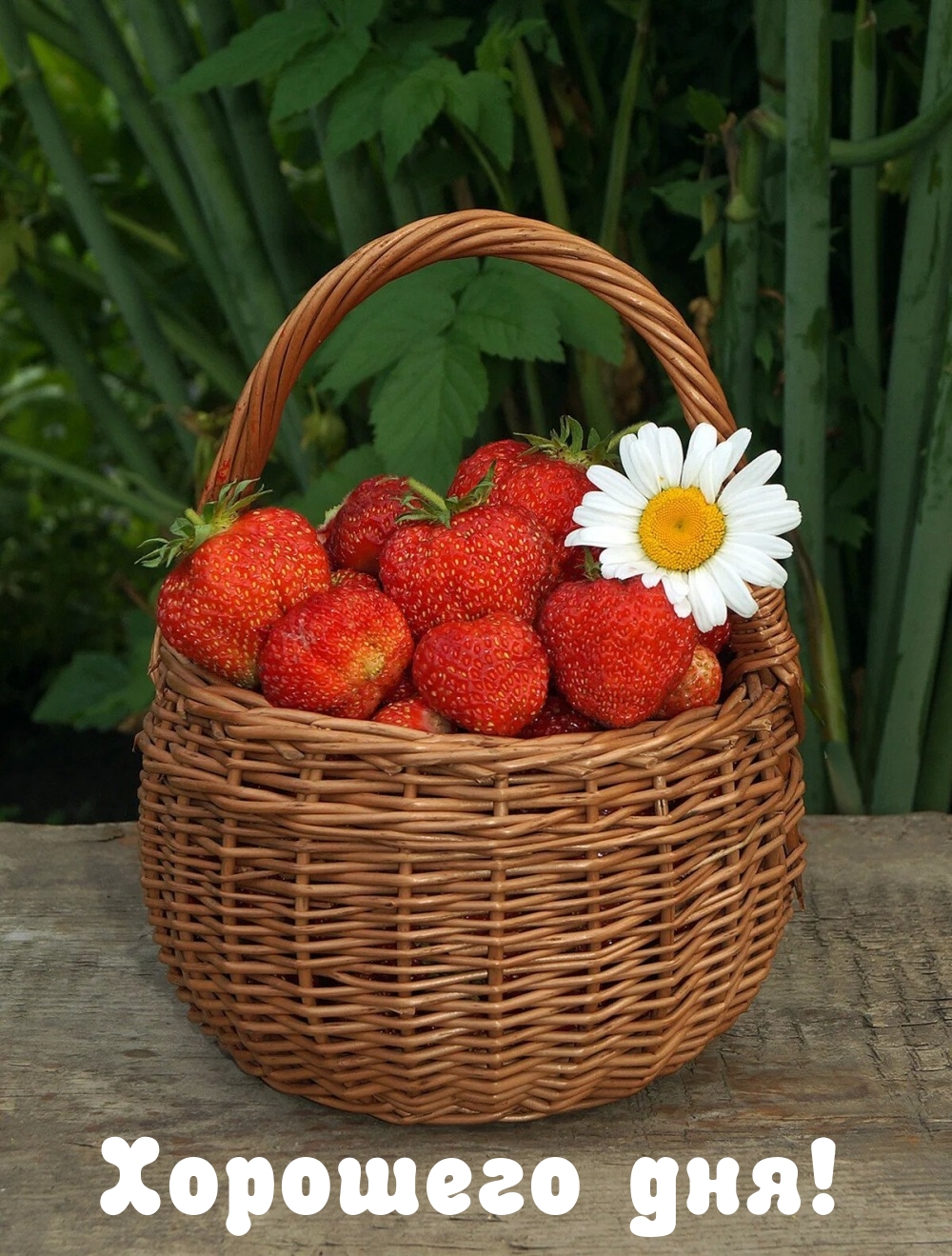 Хорошего дня!