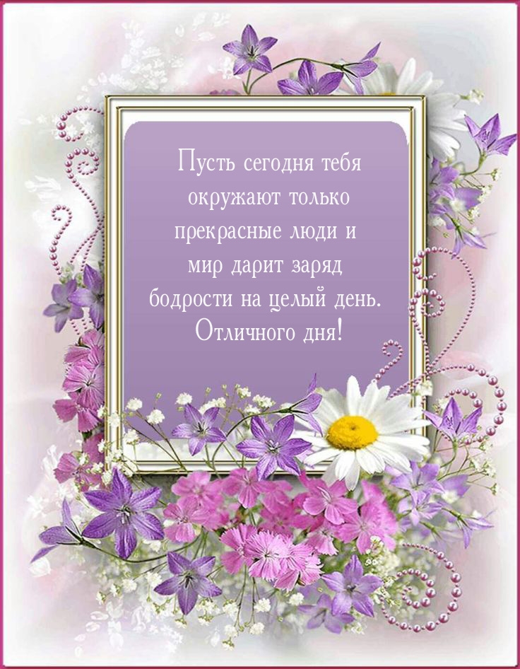 Отличного дня! Пусть сегодня окружают только прекрасные люди 