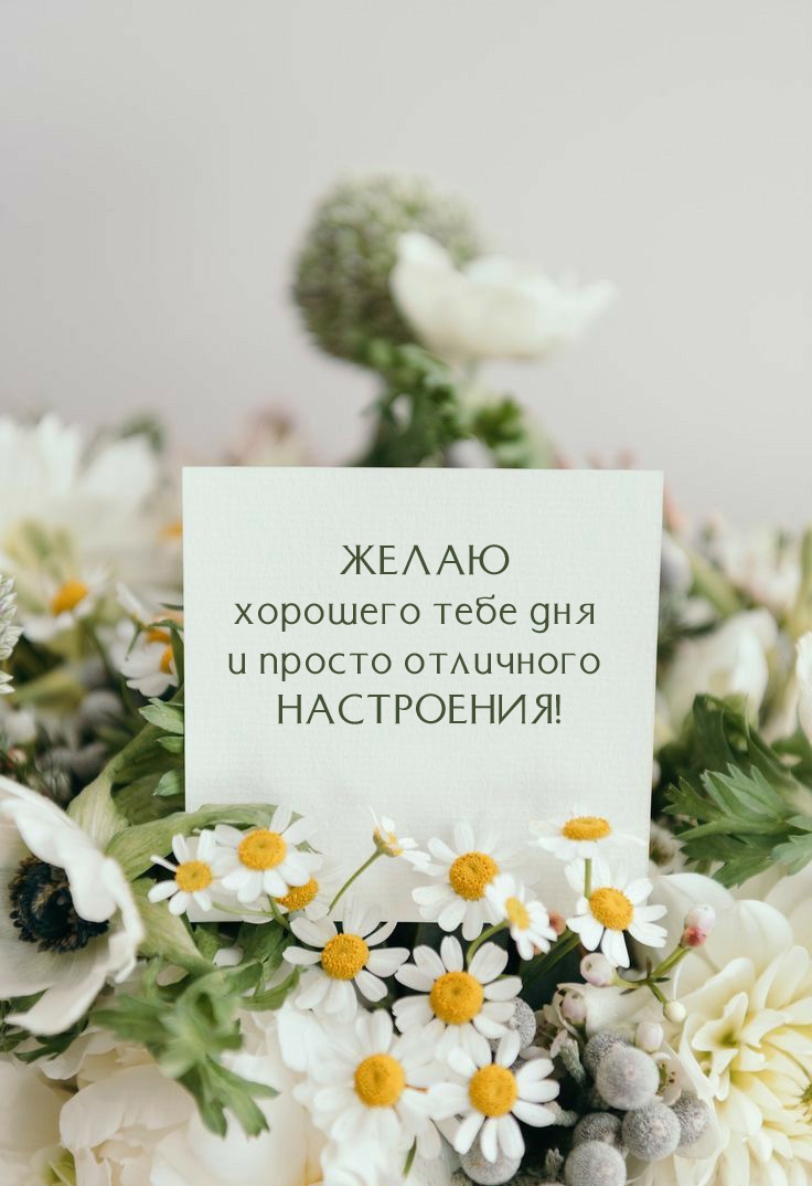 Желаю хорошего тебе дня и просто отличного настроения!