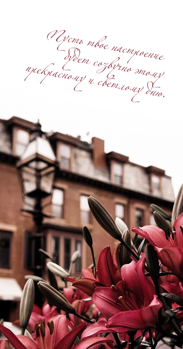 Пусть настроение будет созвучно этому прекрасному и светлому дню. 