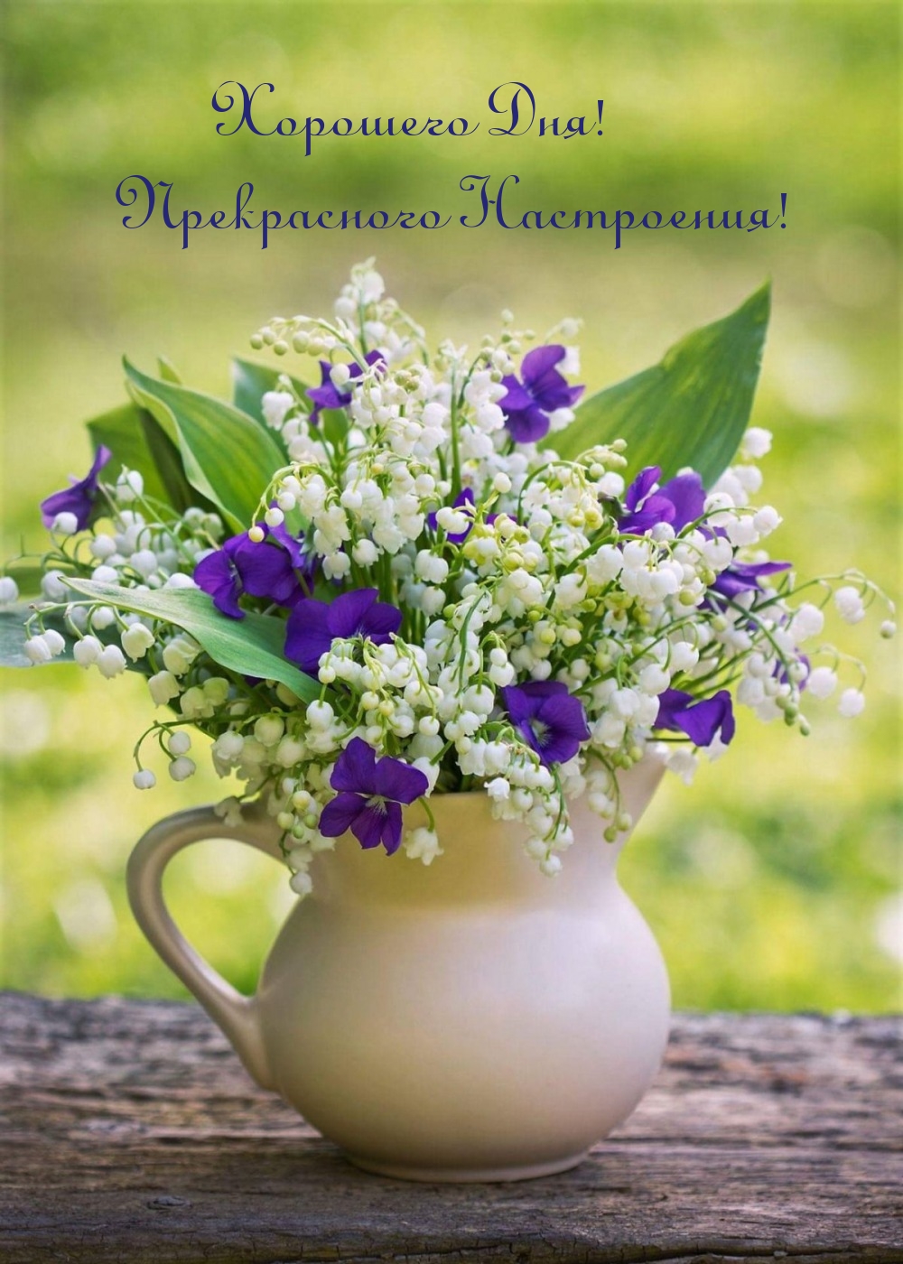 Хорошего Дня! Прекрасного Настроения!