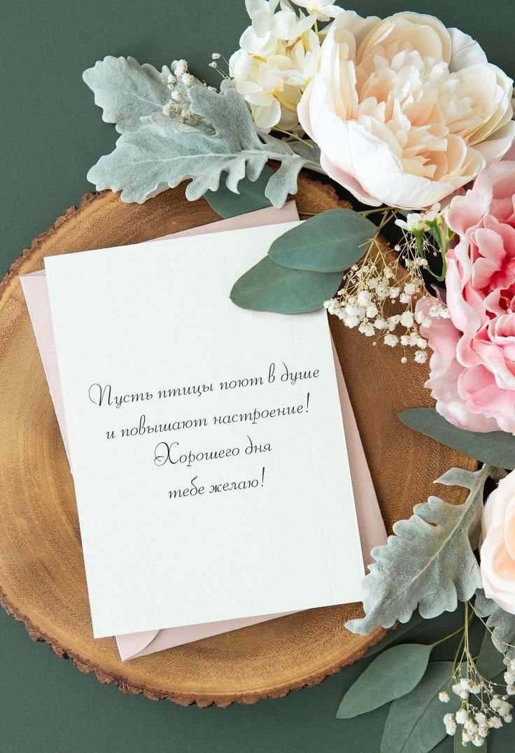 Пусть птицы поют в душе и повышают настроение! Хорошего дня!