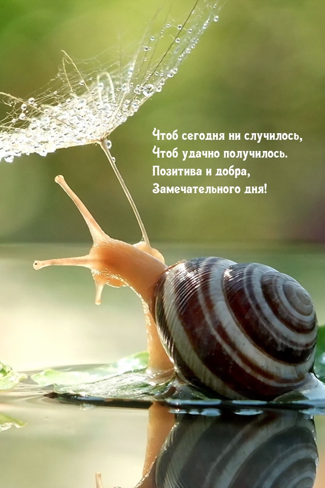 Позитива и добра, замечательного дня!
