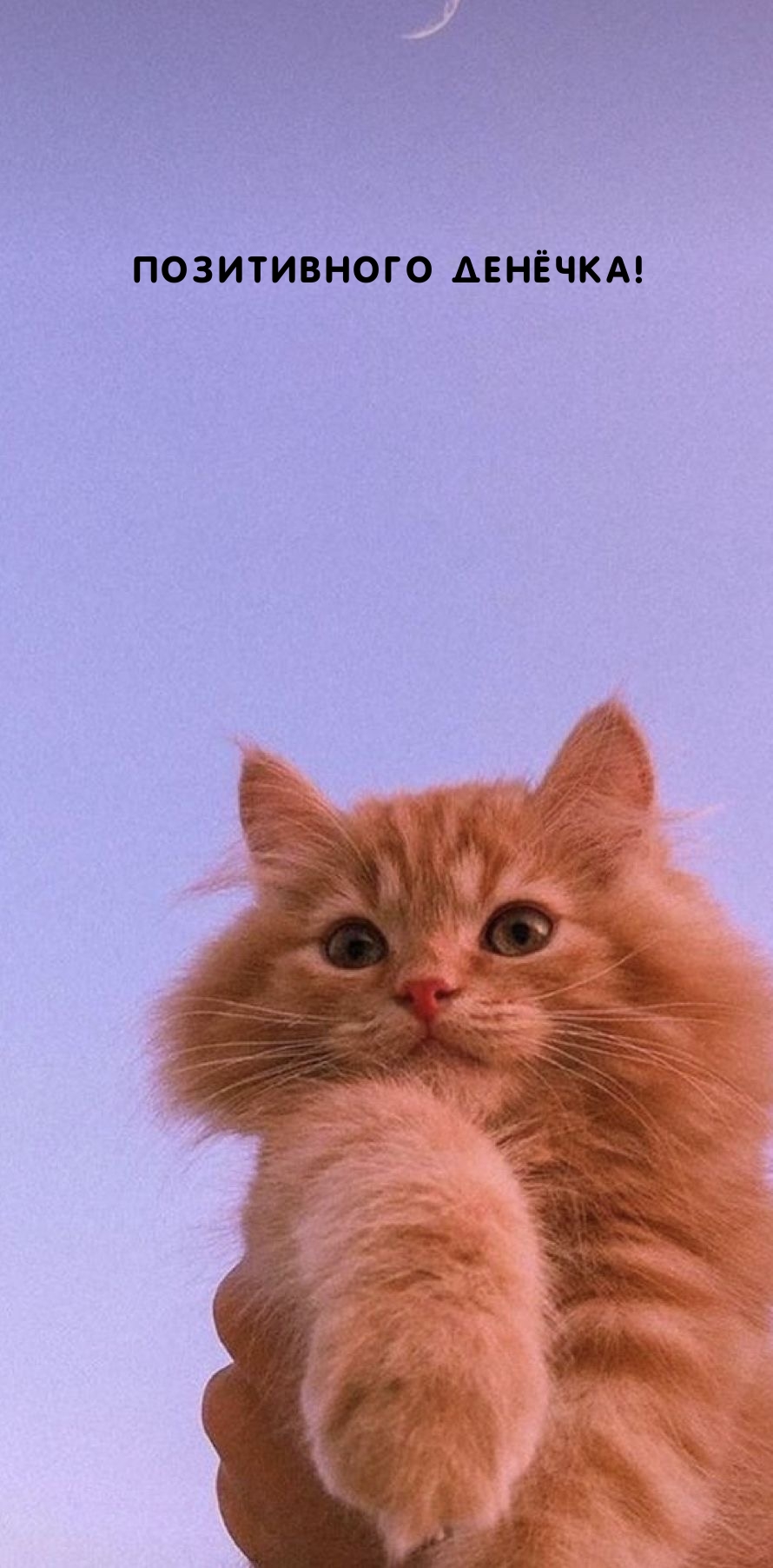 Позитивного денёчка!