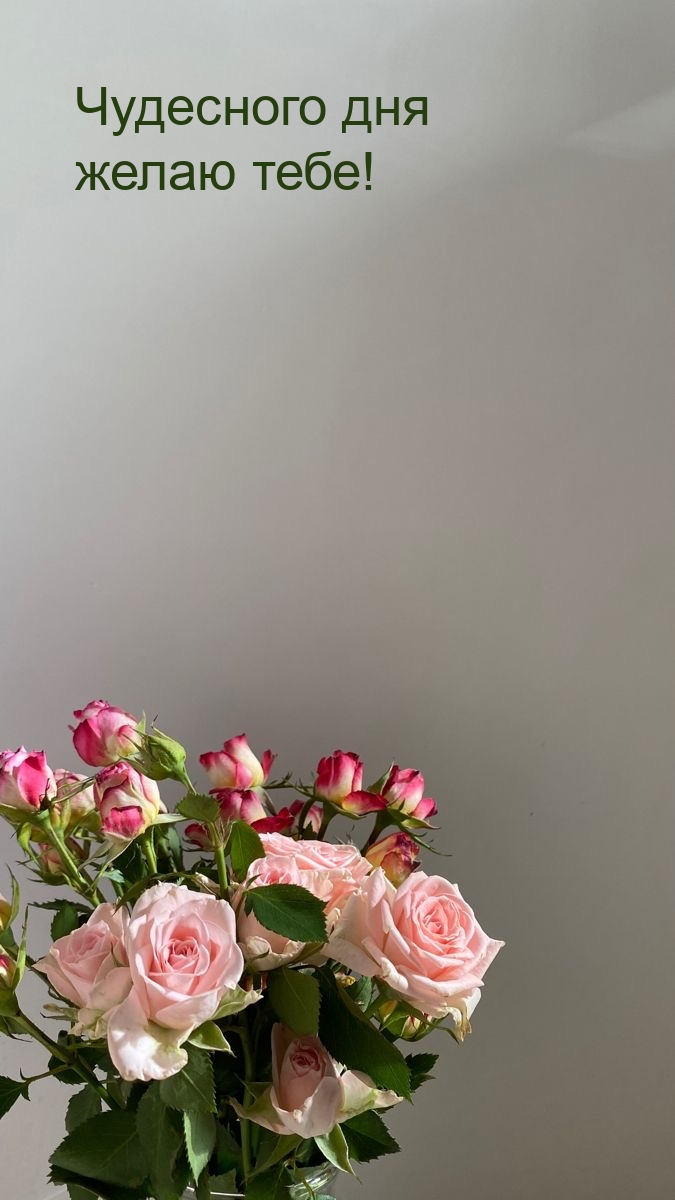 Чудесного дня желаю тебе!