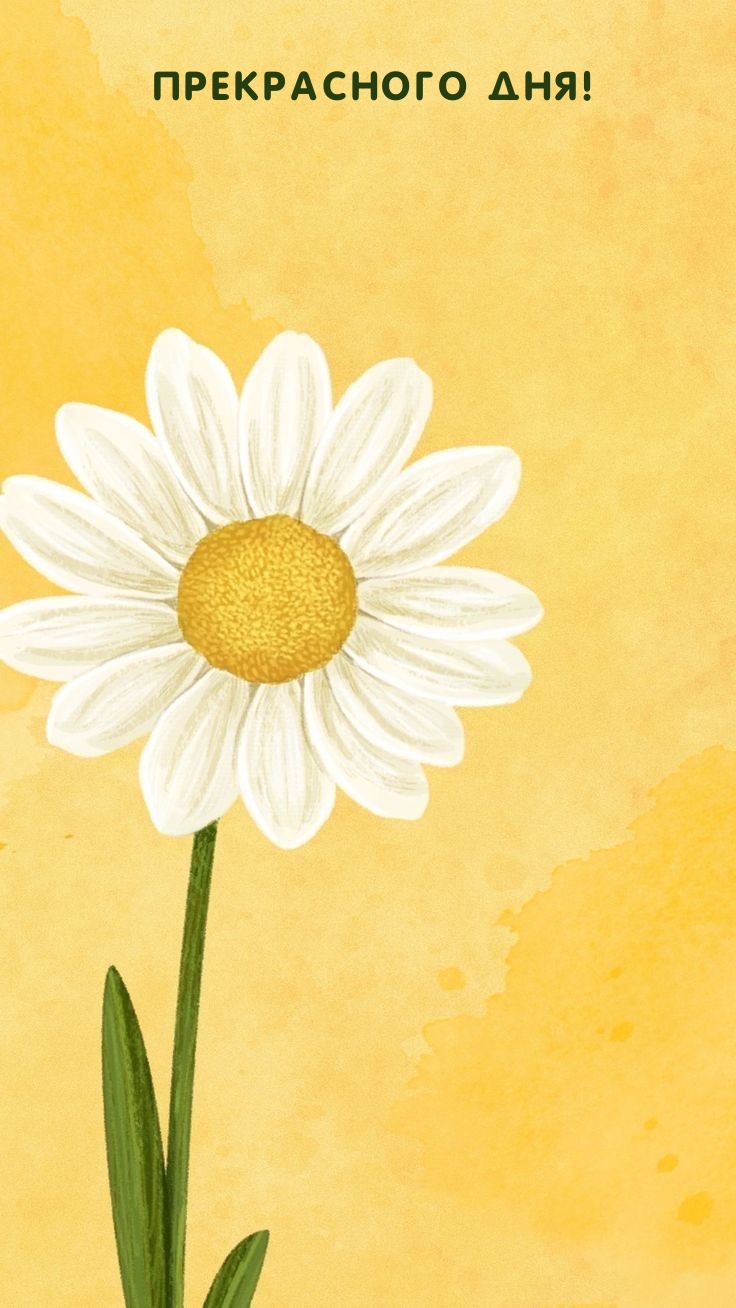 Прекрасного дня!