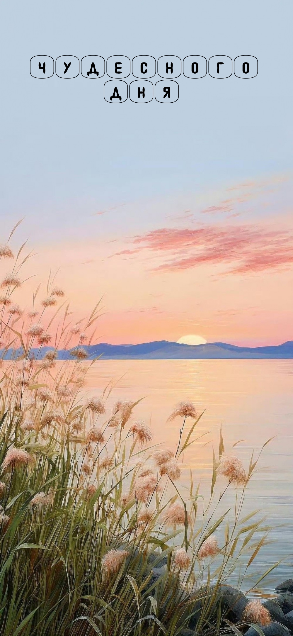 Чудесного дня