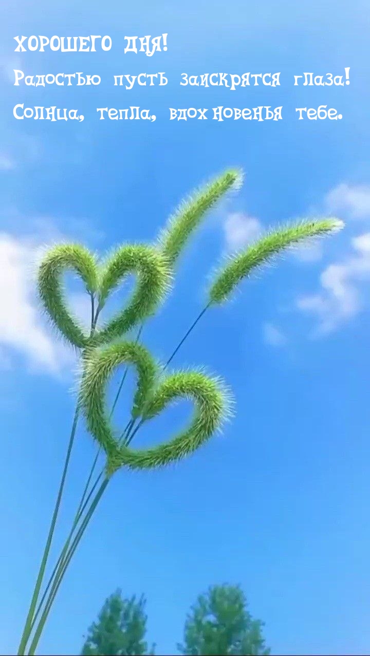 Хорошего дня! Радостью пусть заискрятся глаза!